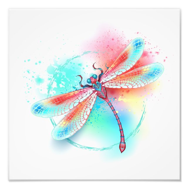 Foto Fléon roja sobre fondo acuarela (Frente)