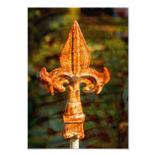 Foto Fleur De Lis en roya