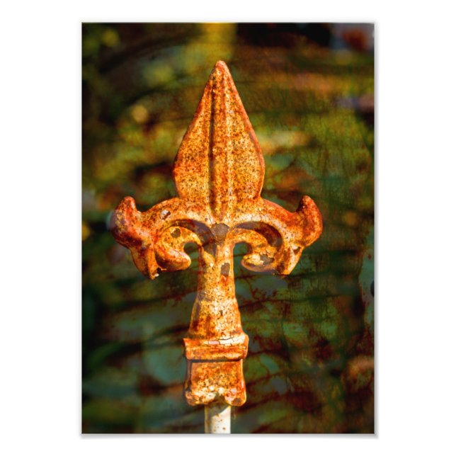 Foto Fleur De Lis en roya (Frente)