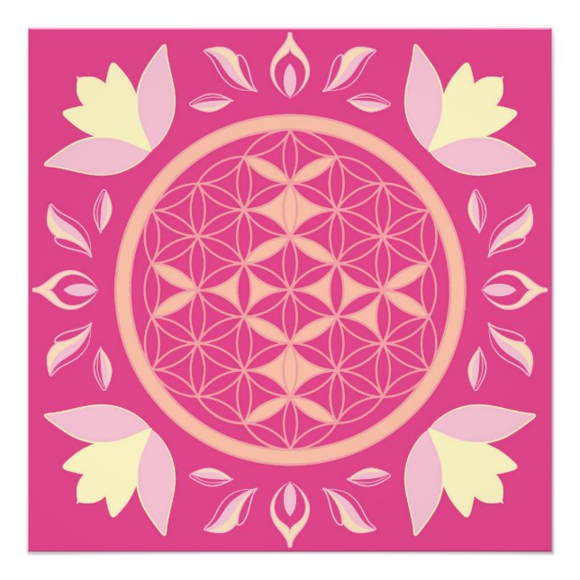 Foto fleur de vie rose (Frente)