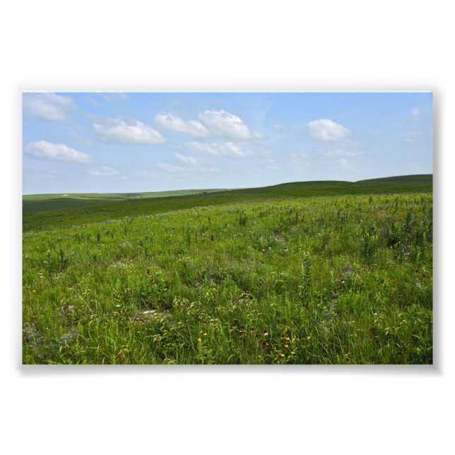 Foto Flint Hills Wildflowers, Kansas (Frente)