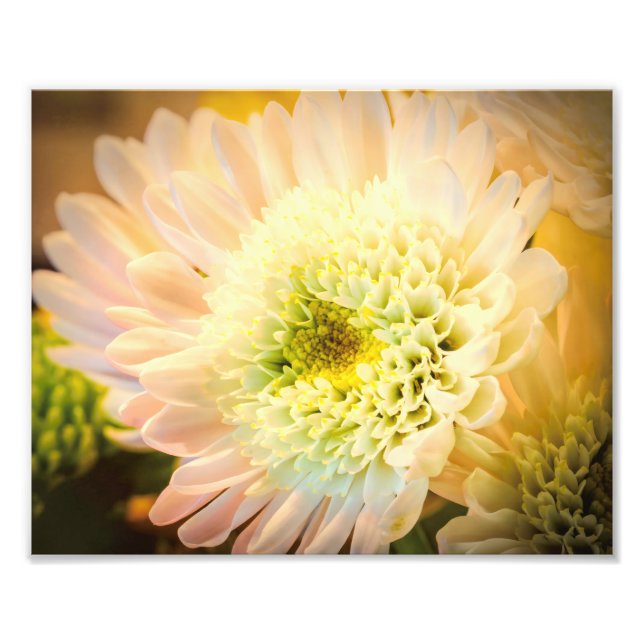 Foto Flor blanca (Frente)