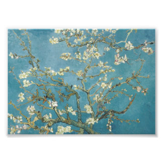 Foto Flor de almendras de Vincent van Gogh (1890)