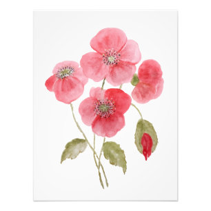 Foto Flor de amapola acuarela