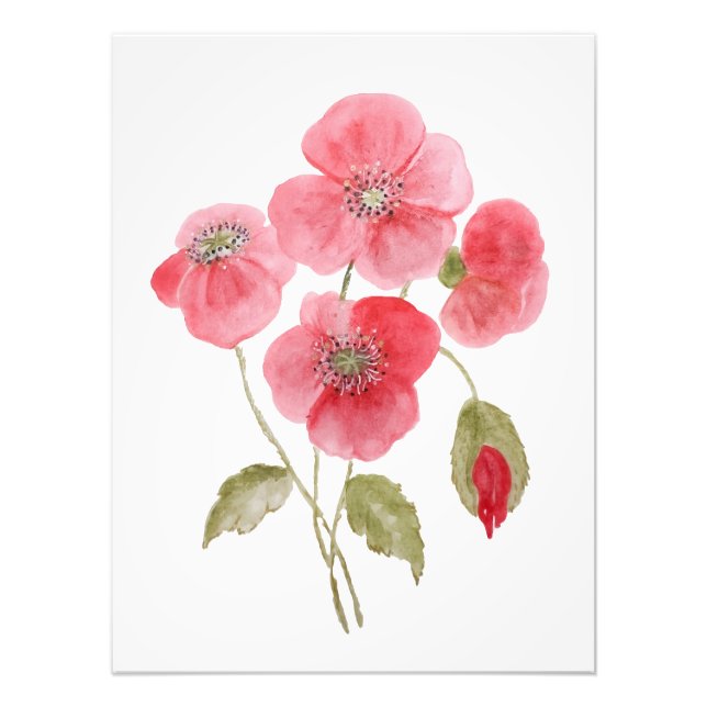 Foto Flor de amapola de agua (Frente)
