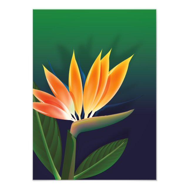 Foto Flor de ave del paraíso (Frente)