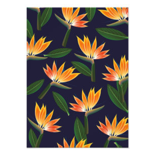 Foto Flor de ave del paraíso