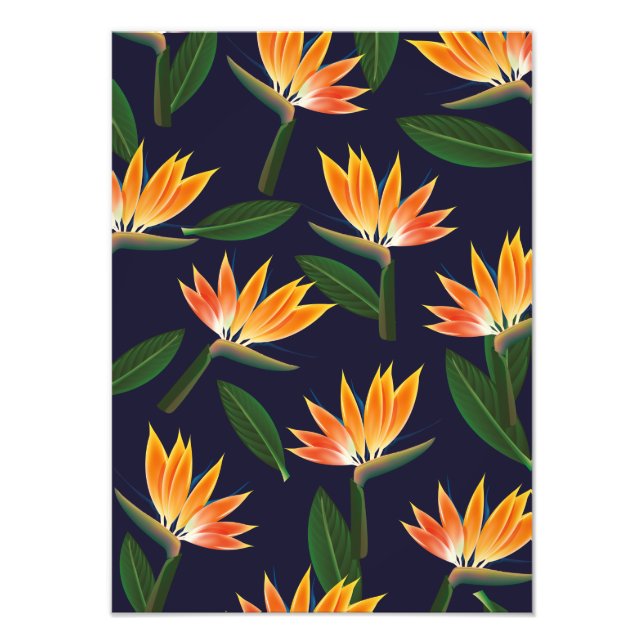 Foto Flor de ave del paraíso (Frente)