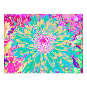 Foto Flor de Dahlia verde y rosa caliente decorativa Ve