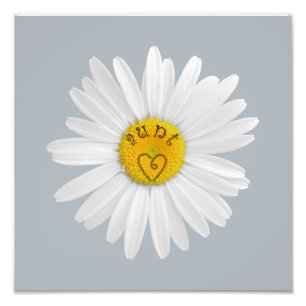 Foto Flor De Daisy Para El Fondo Del Personalizar De Tí