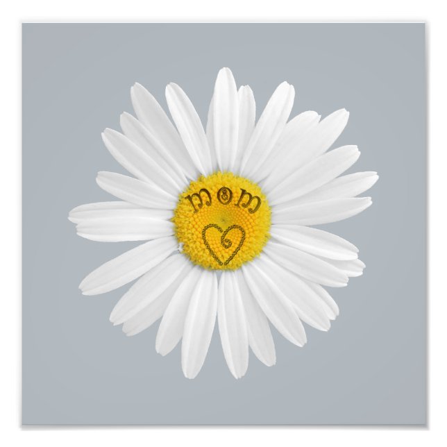 Foto Flor De Daisy Para La Historia Del Personalizar De (Frente)