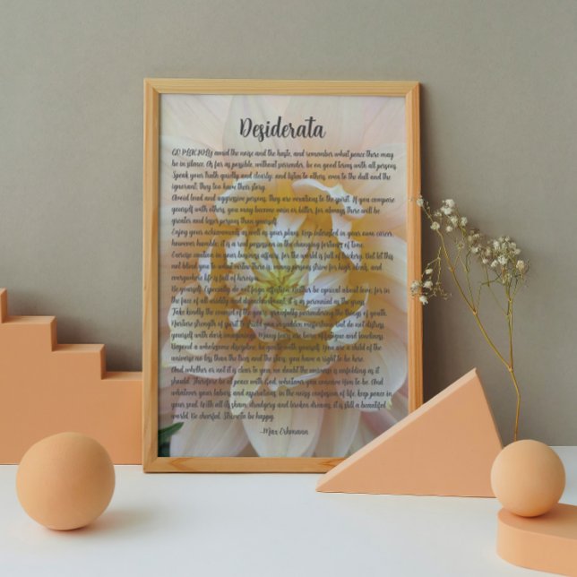 Foto Flor de Dalia Rosa Pálido Poema Desiderata (In Situ (Framed))