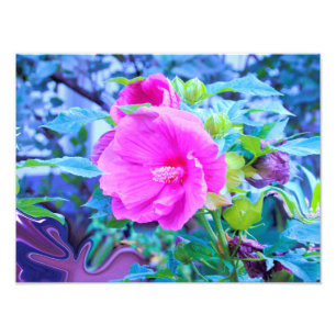 Foto Flor de Hibisco Rosa Elegante con Follaje Acuático