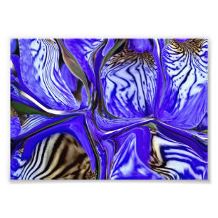 Foto Flor de iris púrpura