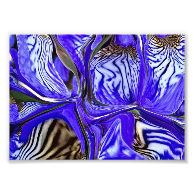 Foto Flor de iris púrpura (Frente)