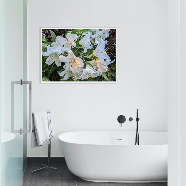 Foto Flor de Lily Oriental Blanca Blooms (In Situ Framed)