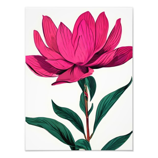 Foto Flor elegante rosa Lotus (Frente)