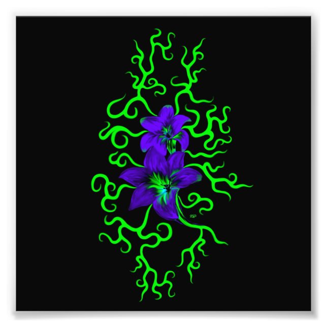 Foto Flor morada lirio en negro (Frente)