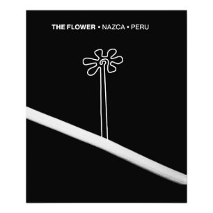 Foto Flor Nazca Perú antiguo símbolo de geoglifo idol I