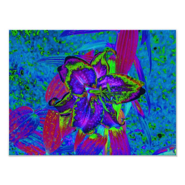 Foto Flor Psicodélica morada y lirio verde limón (Frente)