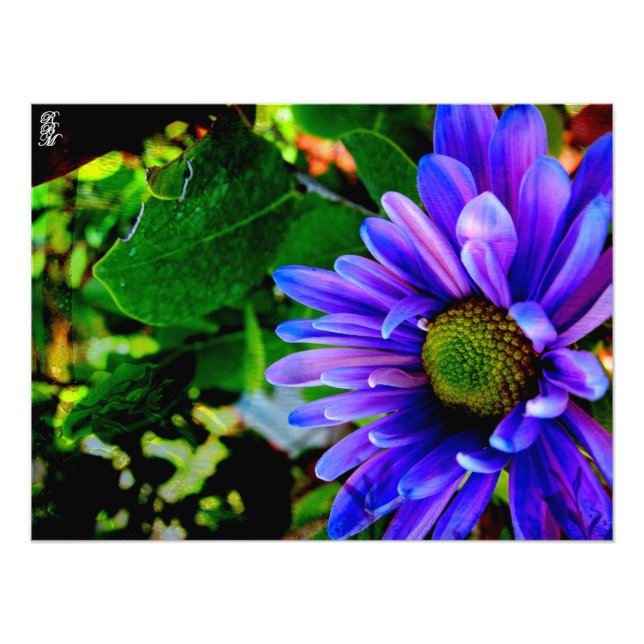 Foto Flor púrpura brillante (Frente)