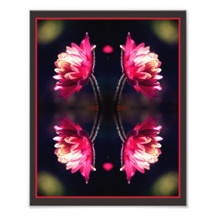 Foto Flor Roja en Espejo de Luz Solar Abstracto 8x10