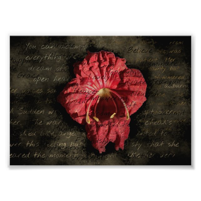 Foto Flor Roja sobre Texto Grunge (Frente)