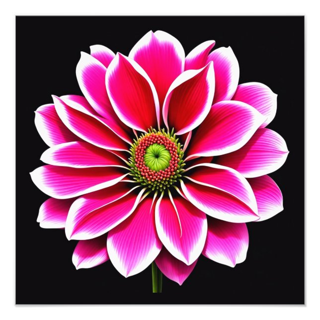 Foto Flor rosa (Frente)