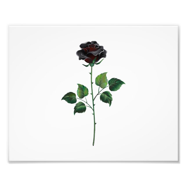 Foto Flor rosa negra (Frente)