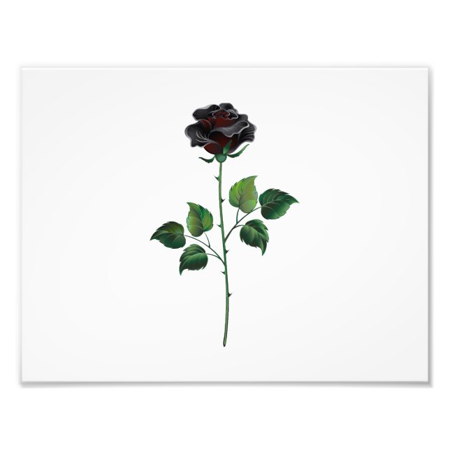 Foto Flor rosa negra (Frente)