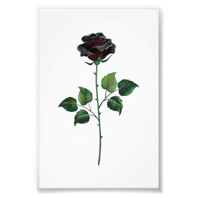Foto Flor rosa negra (Frente)