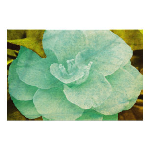 Foto Flor texturizada por Shirley Taylor
