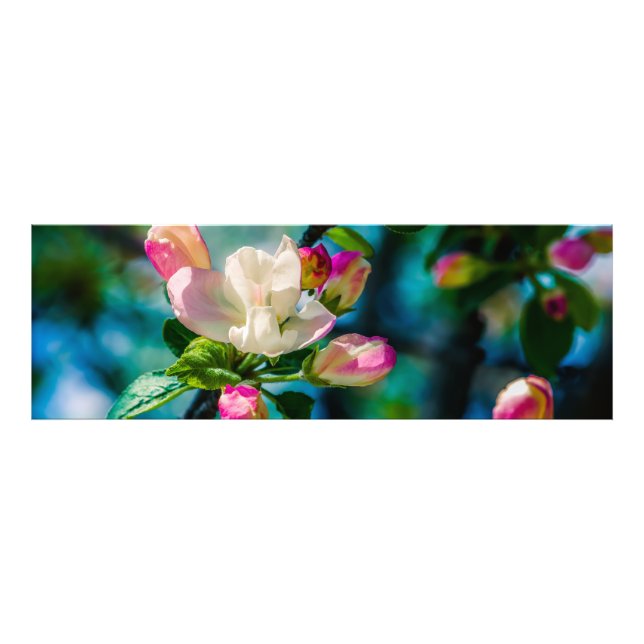 Foto Flor y brotes de arvejas (Frente)