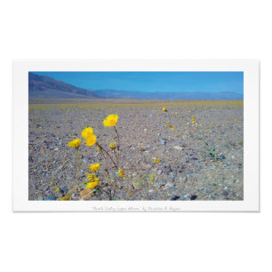 Foto "Floración estupenda de Death Valley," naturaleza