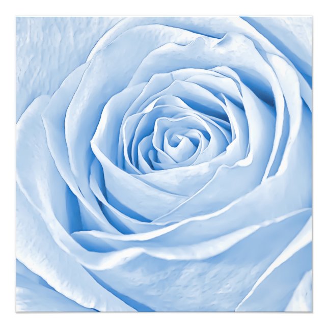 Foto floral Dainty Light Blue Rosa (Frente)