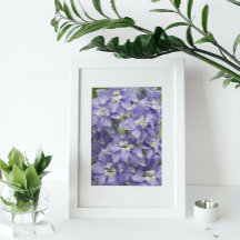 Floral de defino morado