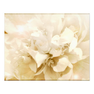 Foto floral de flores de Dahlia blanca vintage