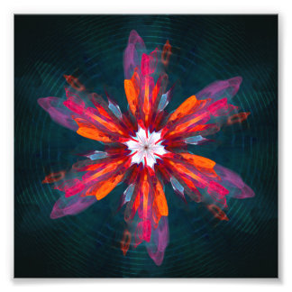 Foto Floral Mandala Flores Naranja Azul Rojo Resumen