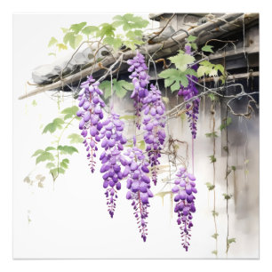 Foto Floral Naturaleza Violeta