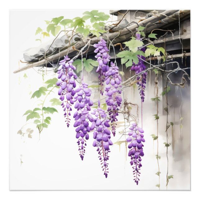 Foto Floral Naturaleza Violeta (Frente)