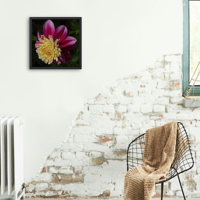 Foto Floral rosa Anemone Dahlia Bloom (In Situ Framed)