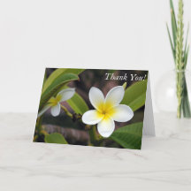 Foto floral Tarjeta de agradecimiento verde amaril
