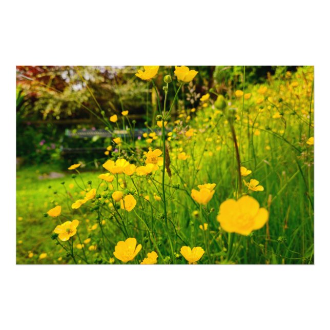 Foto Flores (Frente)
