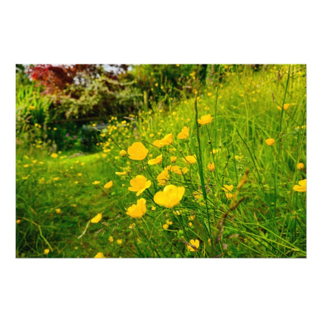 Foto Flores (Frente)