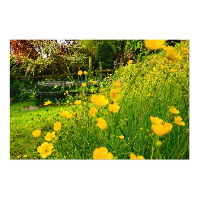Foto Flores (Frente)