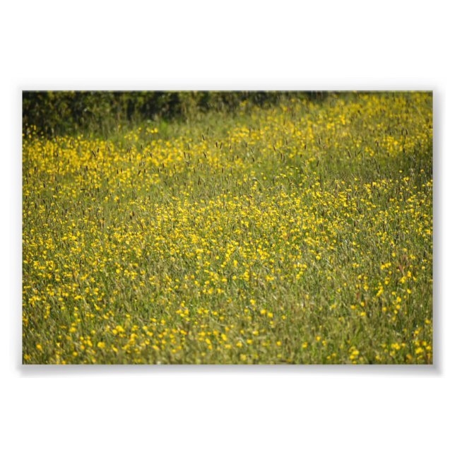 Foto Flores (Frente)