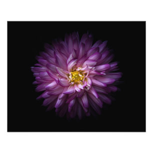 Foto Flores 20