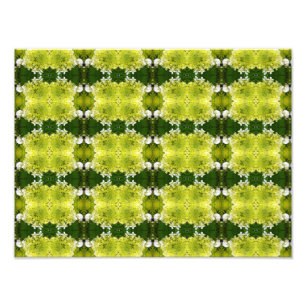 Foto Flores abstractas de hortensias en verde chartreus