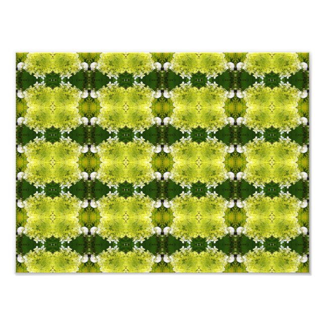Foto Flores abstractas de hortensias en verde chartreus (Frente)
