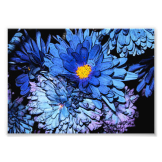 Foto Flores azules 7x5